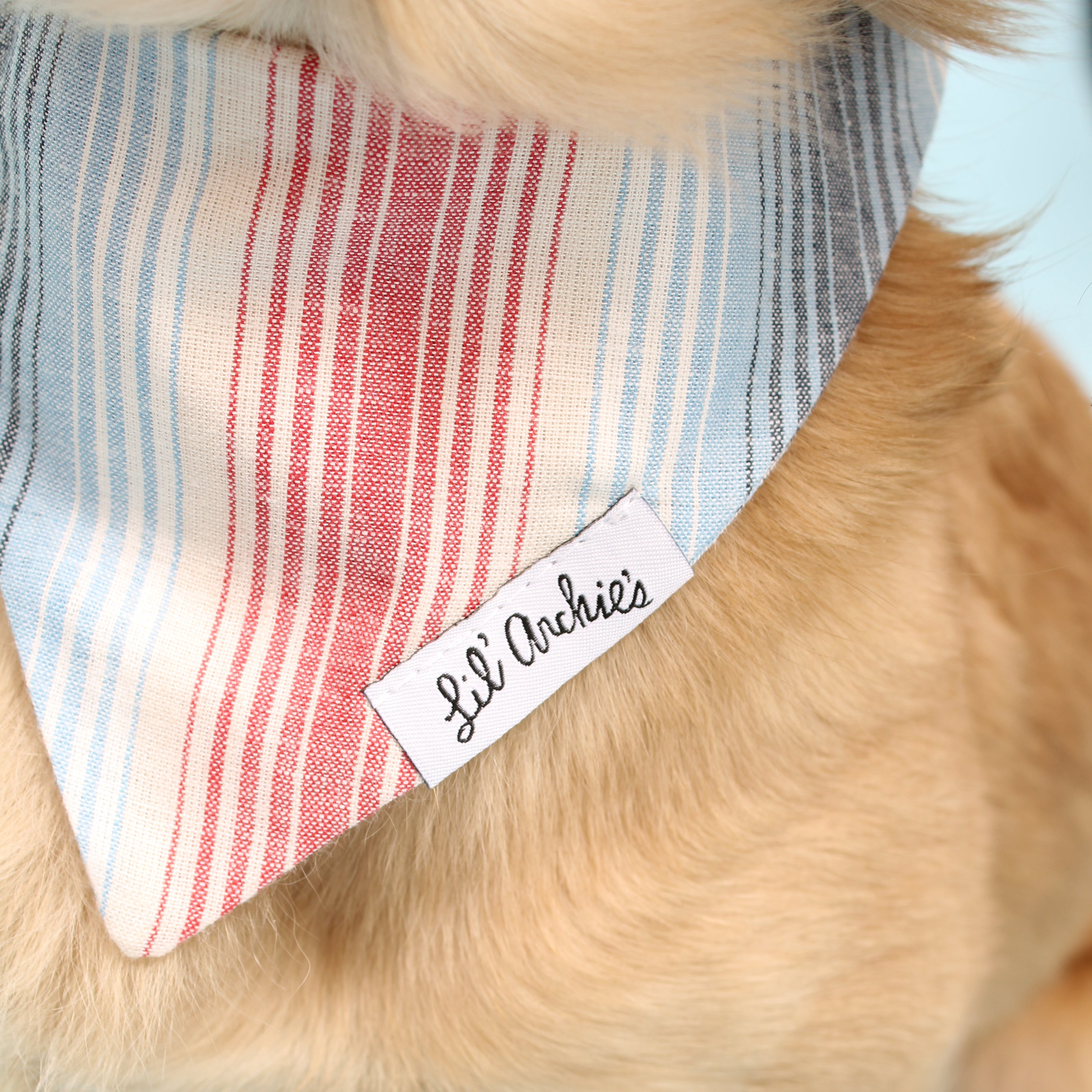 Todos Santos - Slimline Dog Bandana