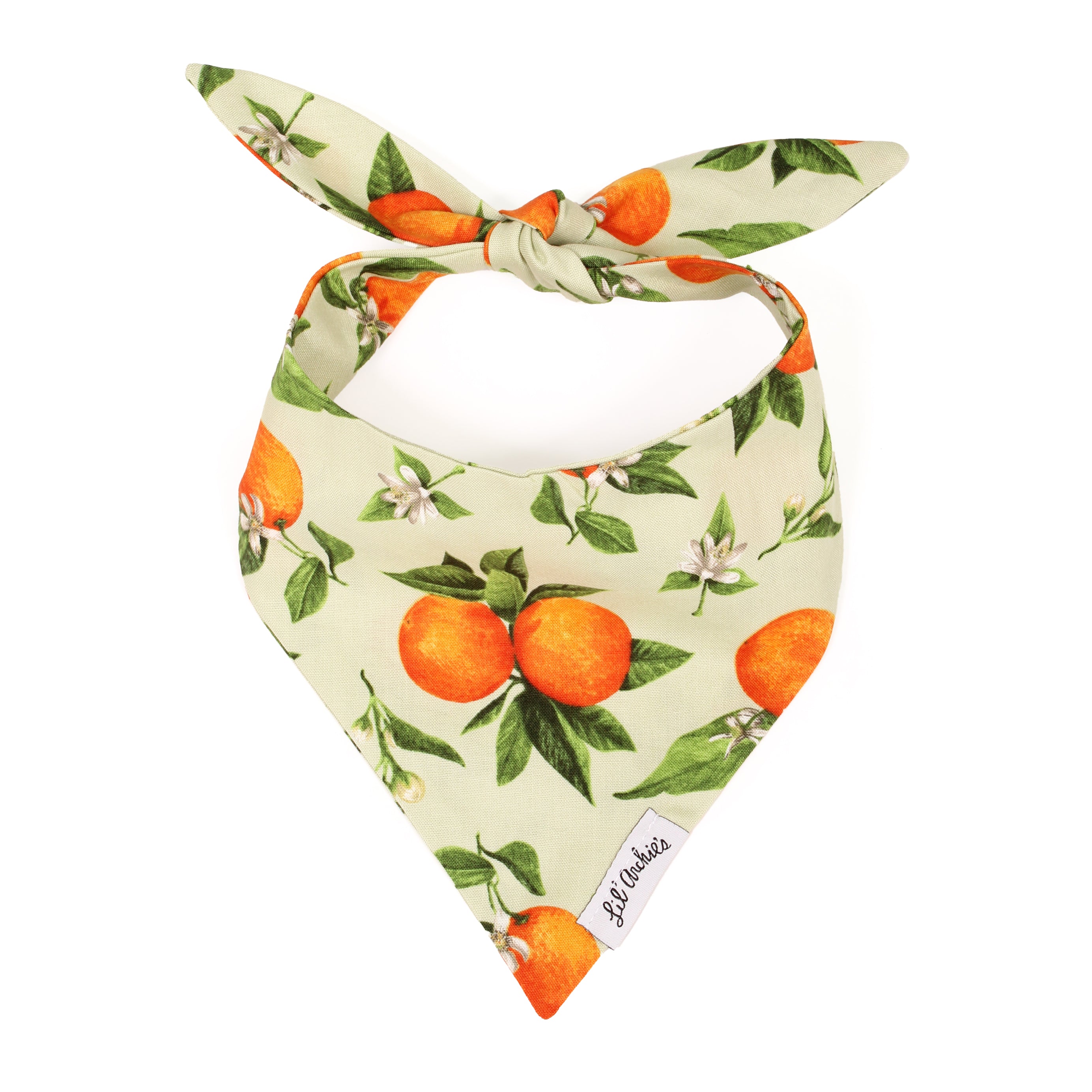 Orange Mint Crush- Slimline Dog Bandana