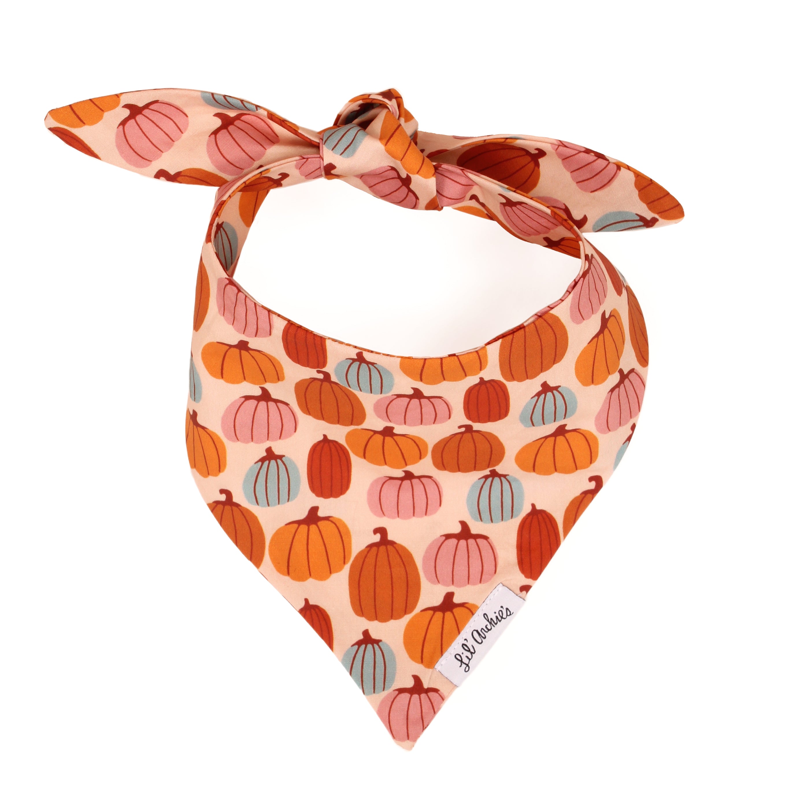 Picking Pumpkins - Slimline Dog Bandana