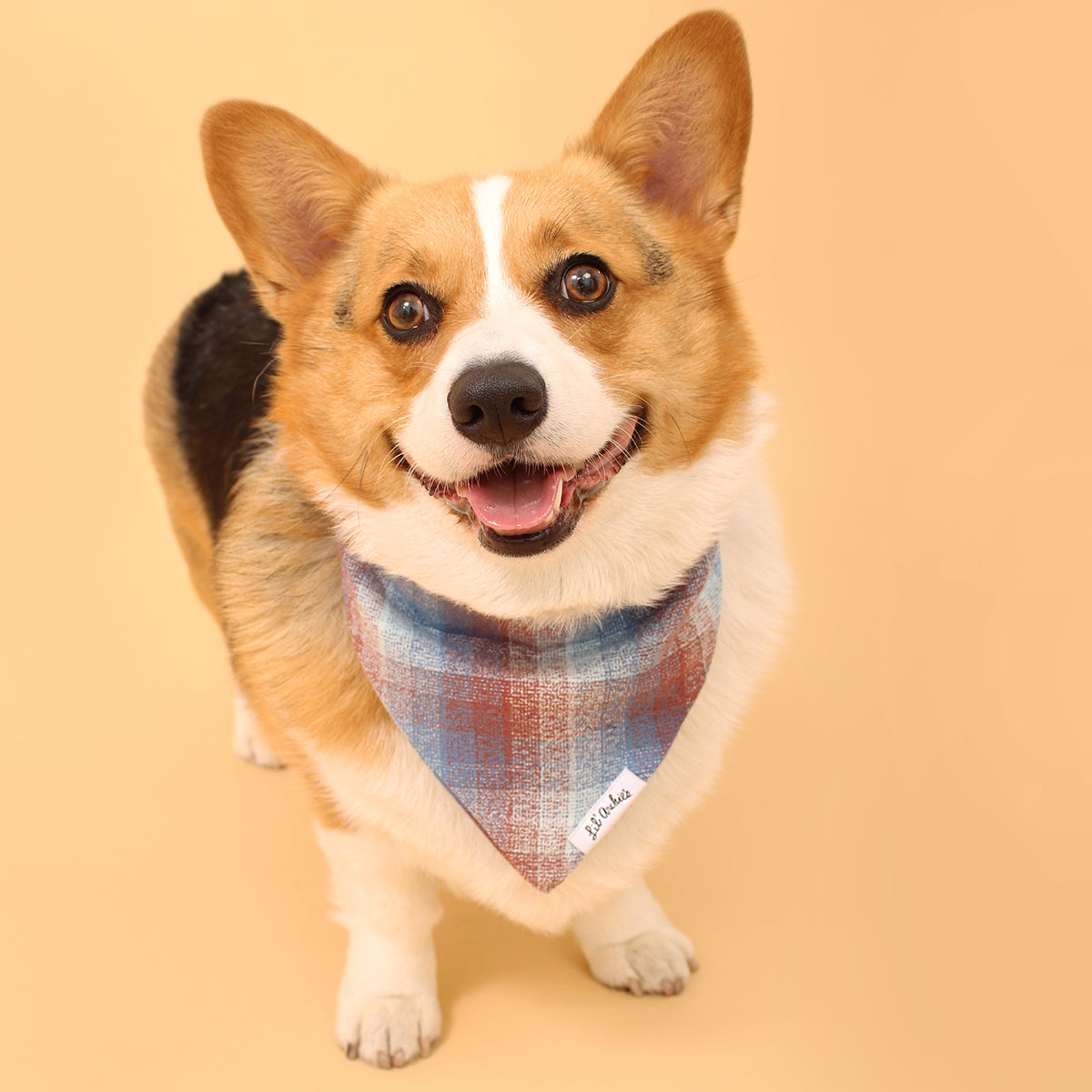 Dreamy Plaid Flannel - Dog Bandana