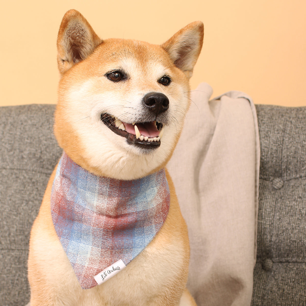 Dreamy Plaid Flannel - Dog Bandana