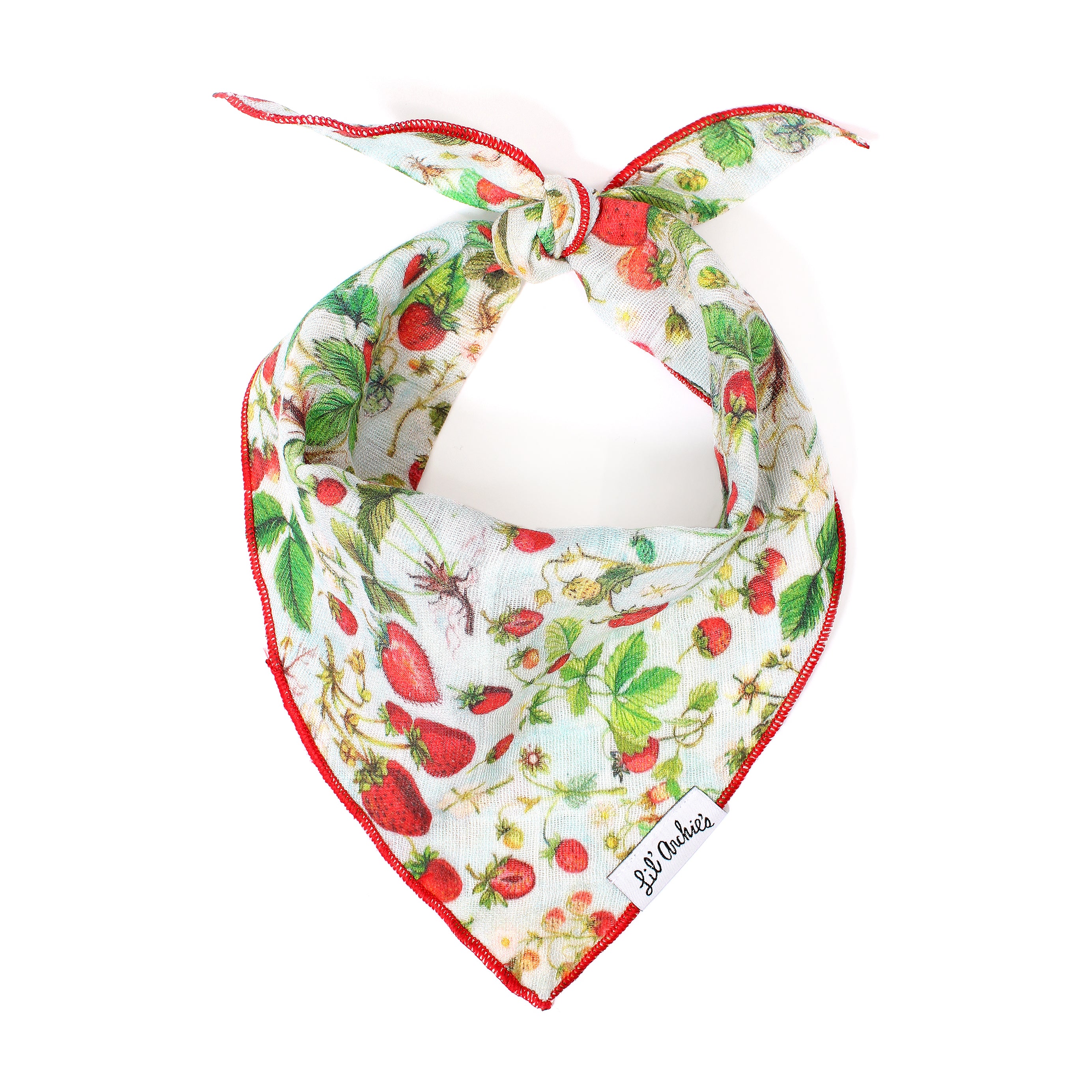 Shortcake - Dog Bandana