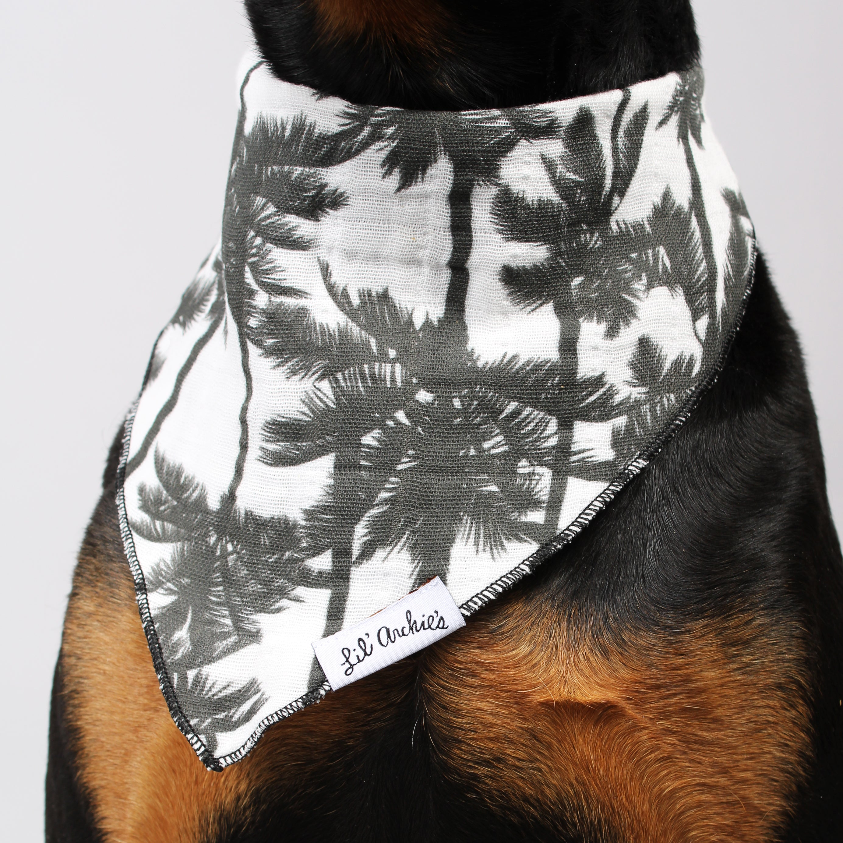 Venice - Dog Bandana