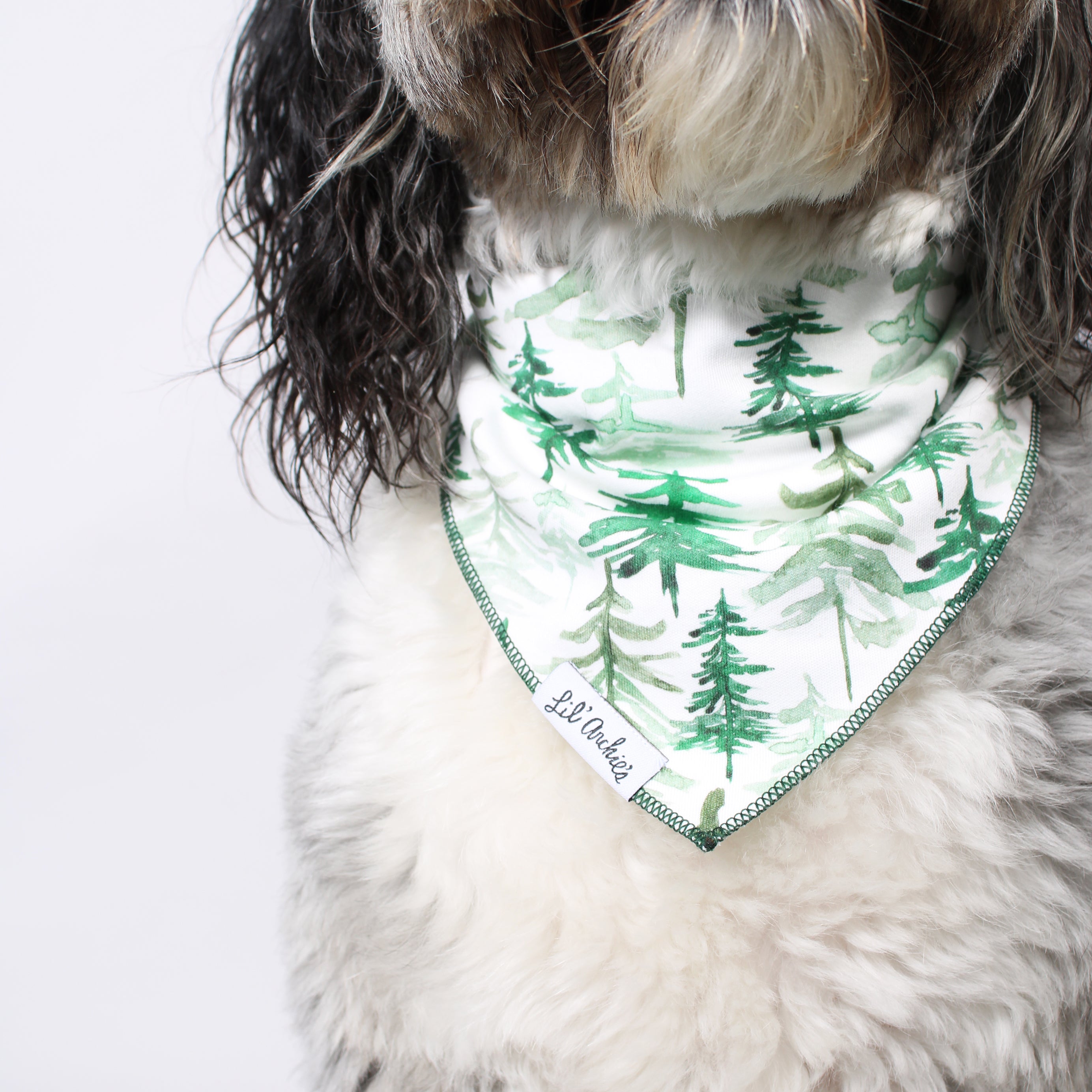 Evergreen Christmas Dog Bandana