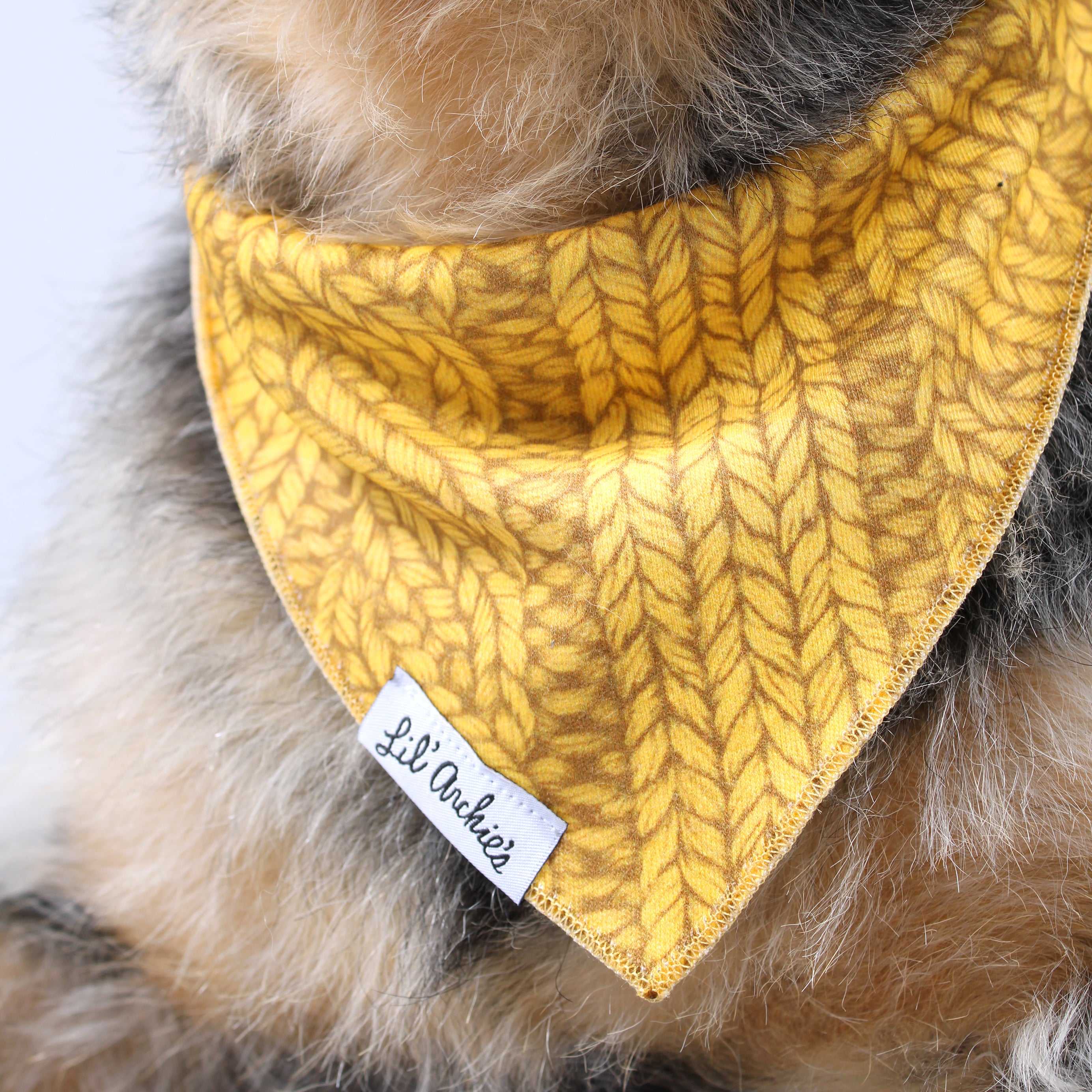 Dog bandana outlet