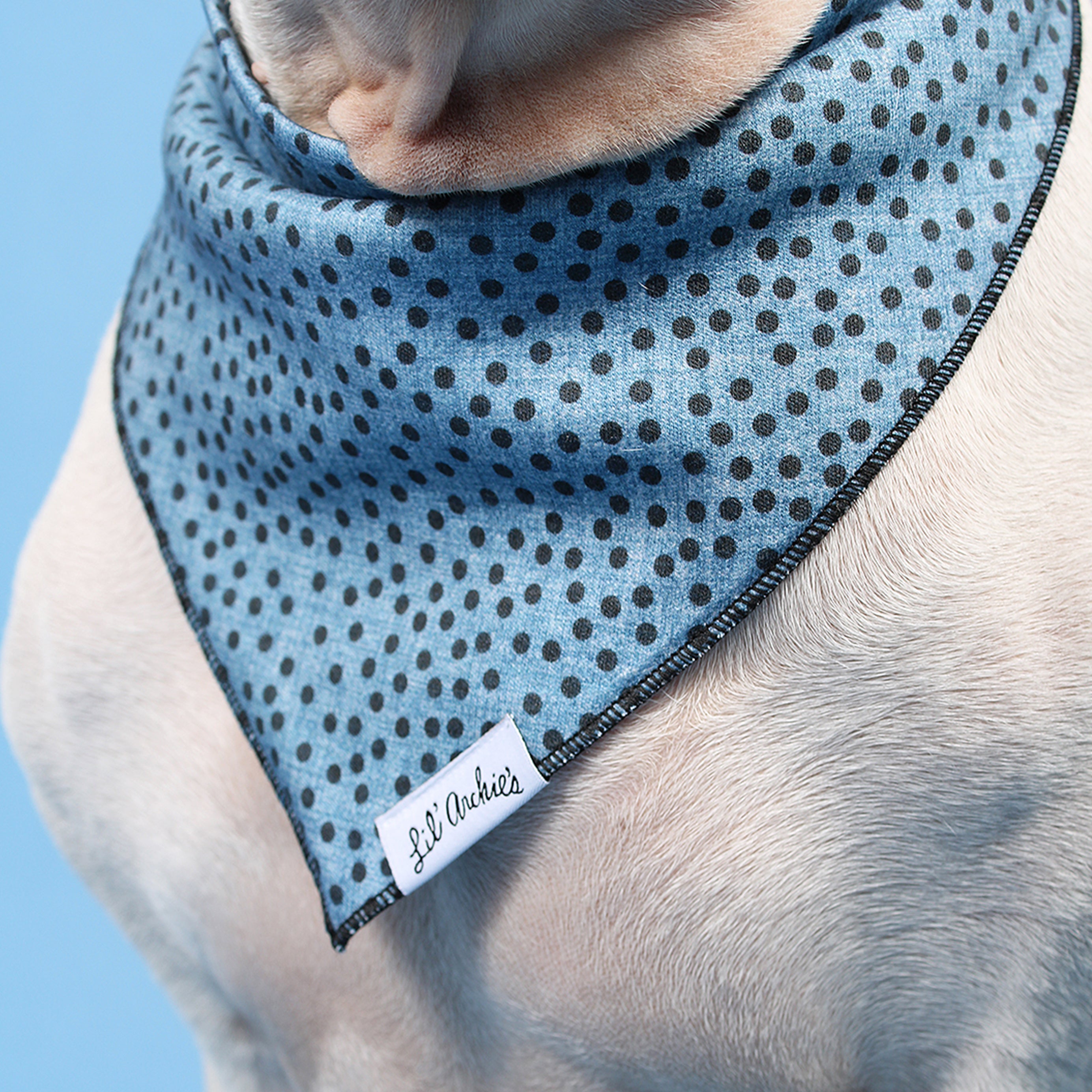 November Night - Dog Bandana