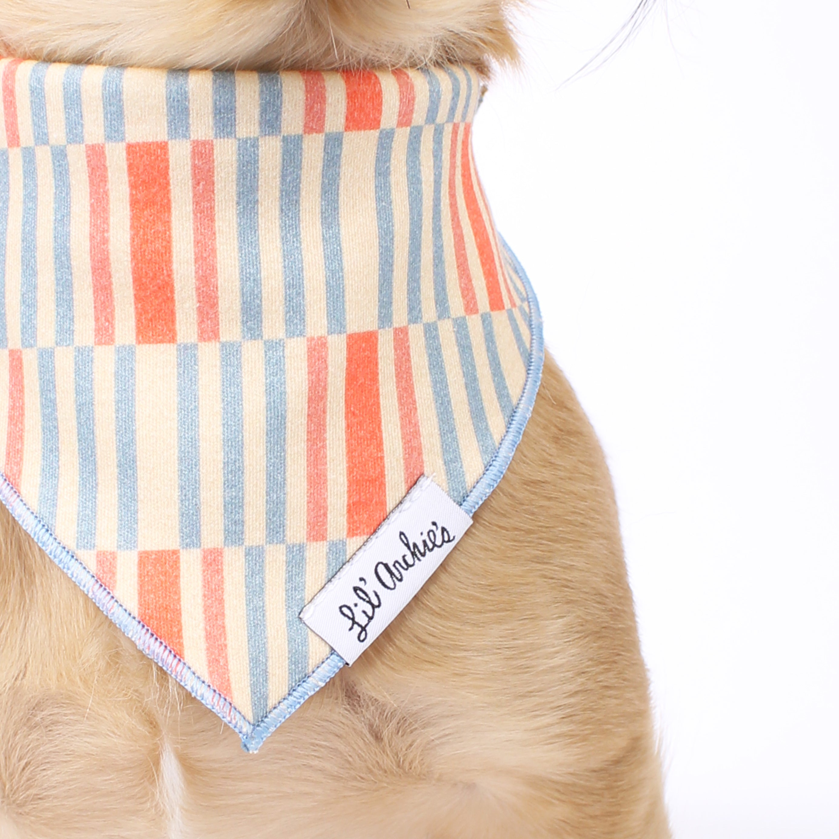 Orangesicle - Dog Bandana