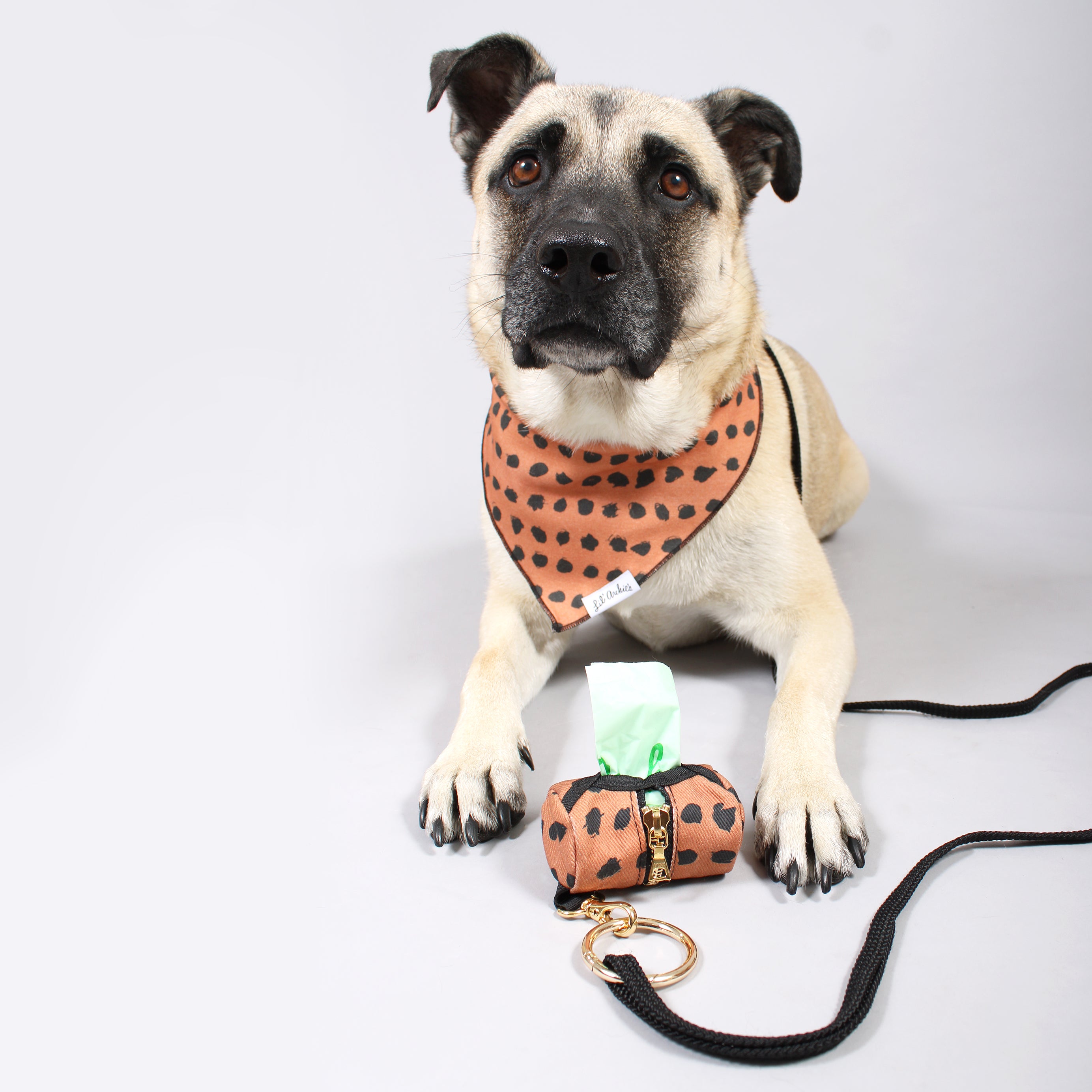 Chocolate Dot - Dog Waste Bag Dispenser