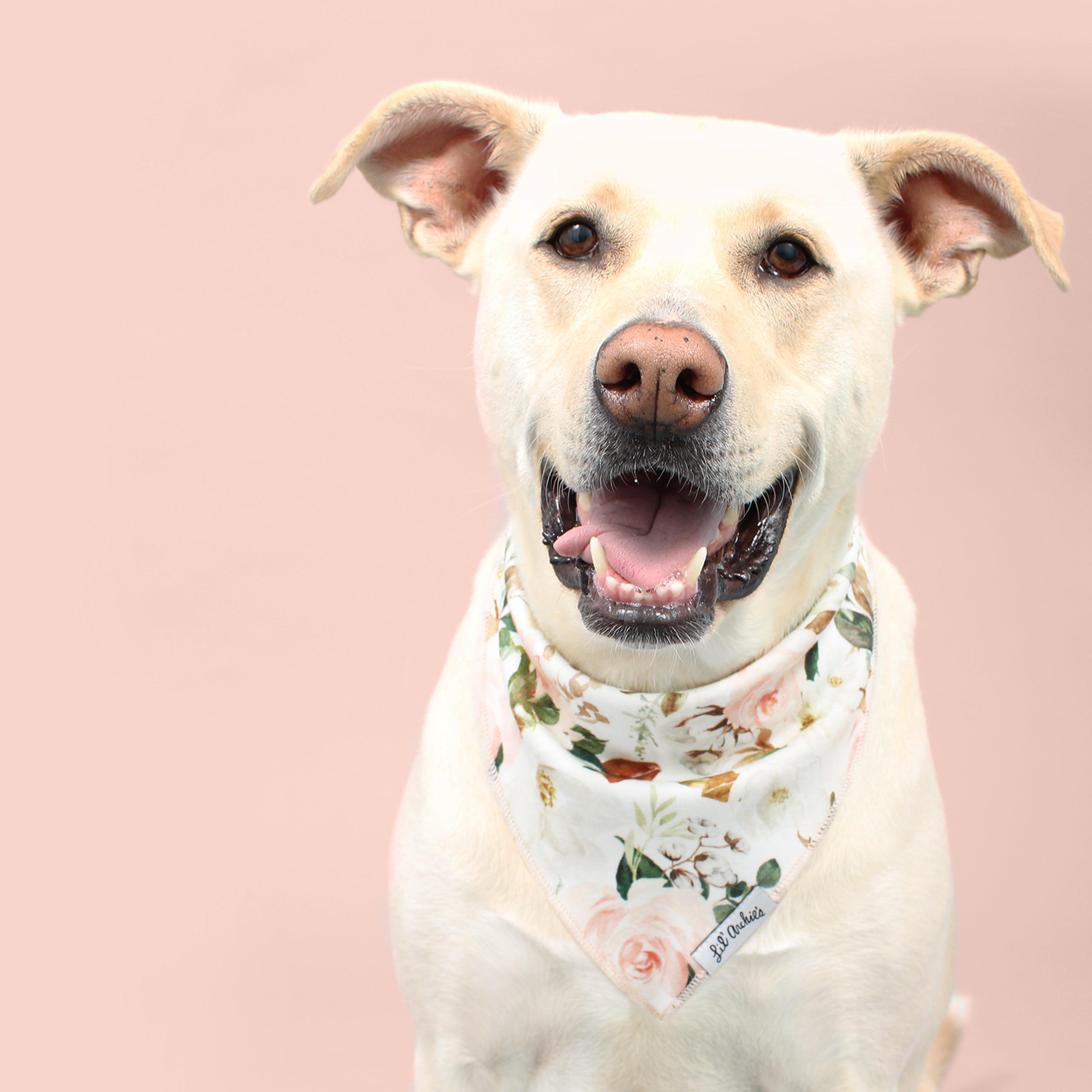 Lake Dog Bandana 