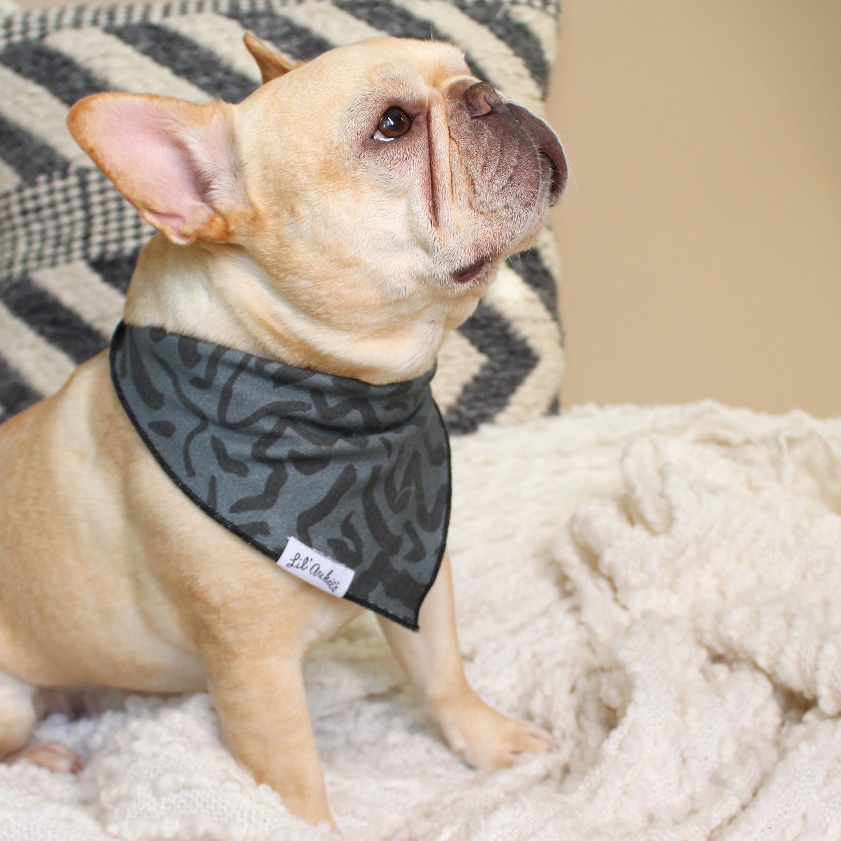 Dark & Swirly - Dog Bandana