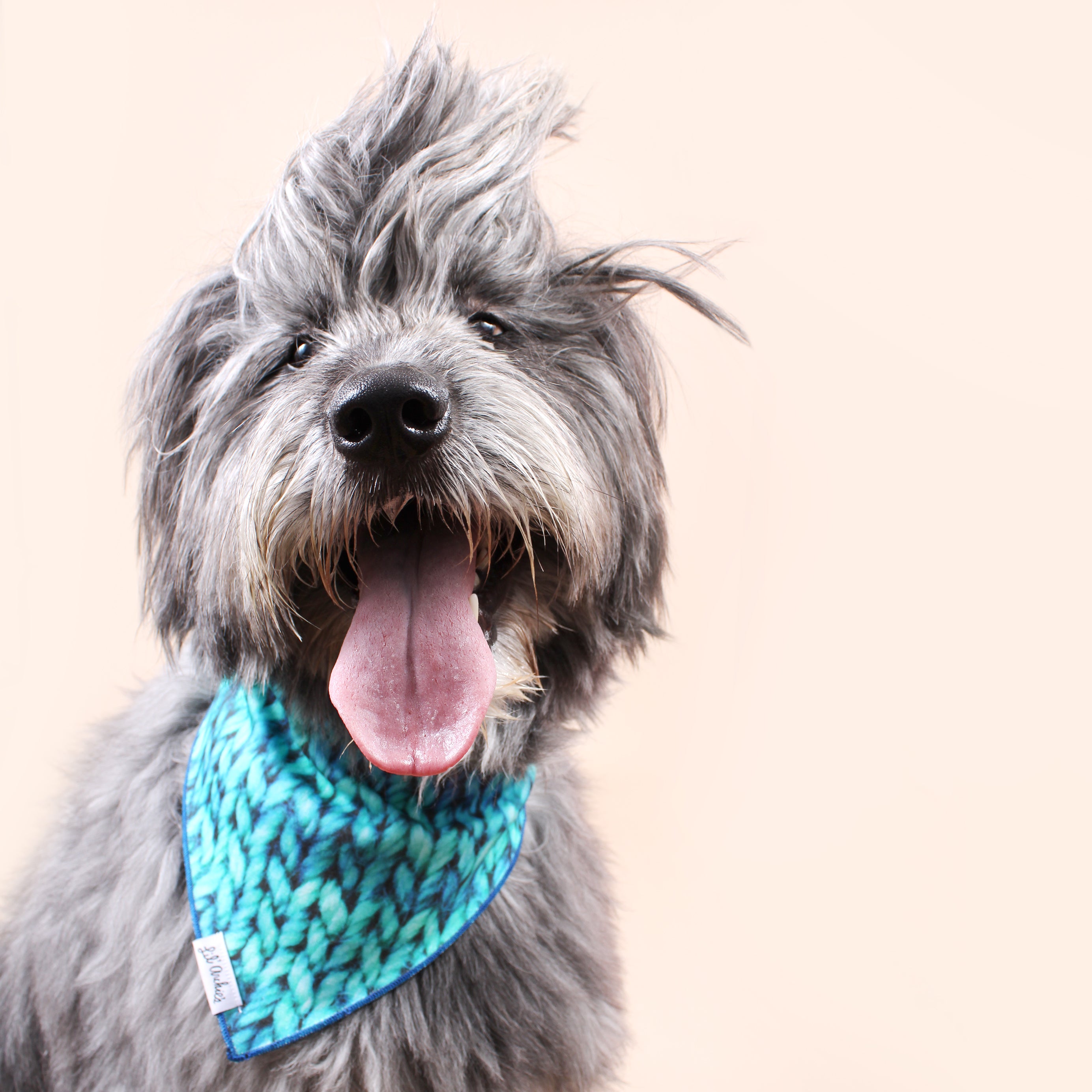 Electric Knit - Dog Bandana