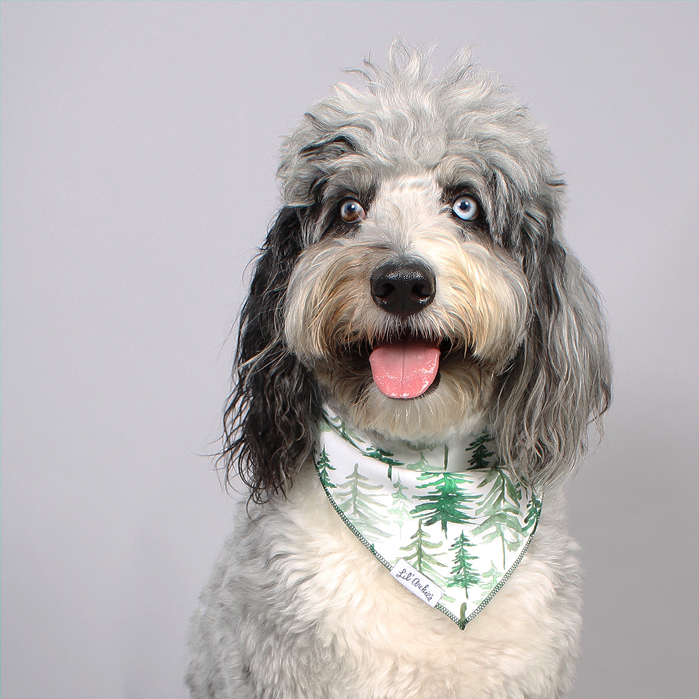 Evergreen Christmas Dog Bandana