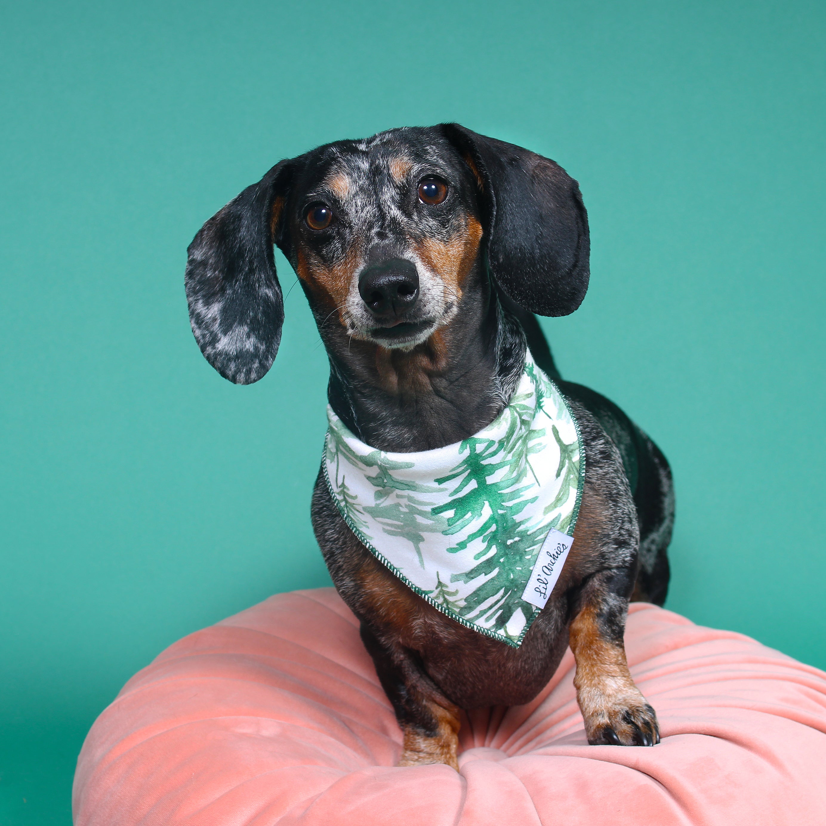 Evergreen Christmas Dog Bandana