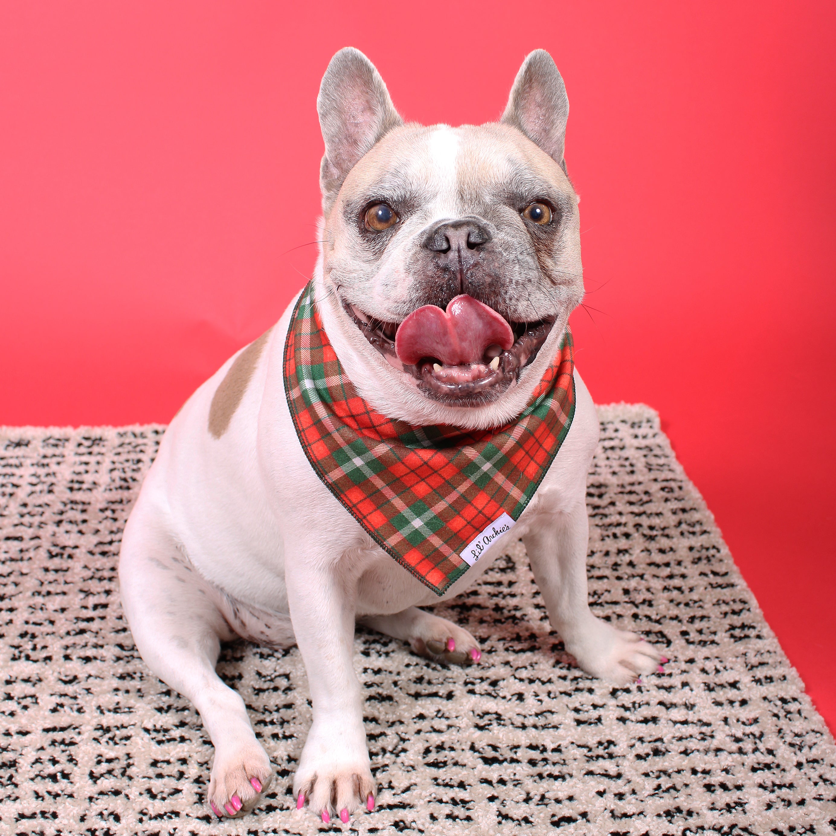 Holiday Vintage Dog Bandana