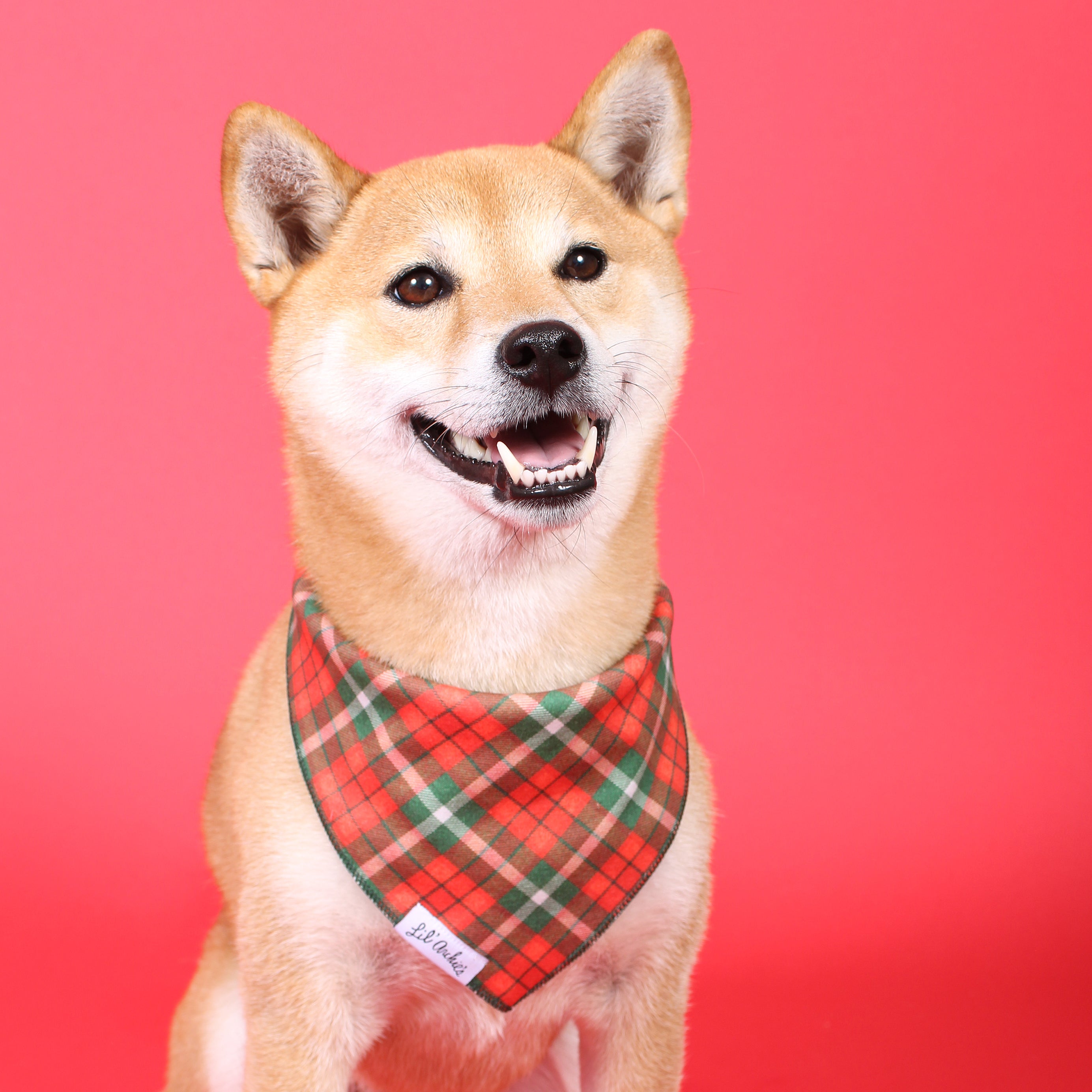 Holiday bandana deals