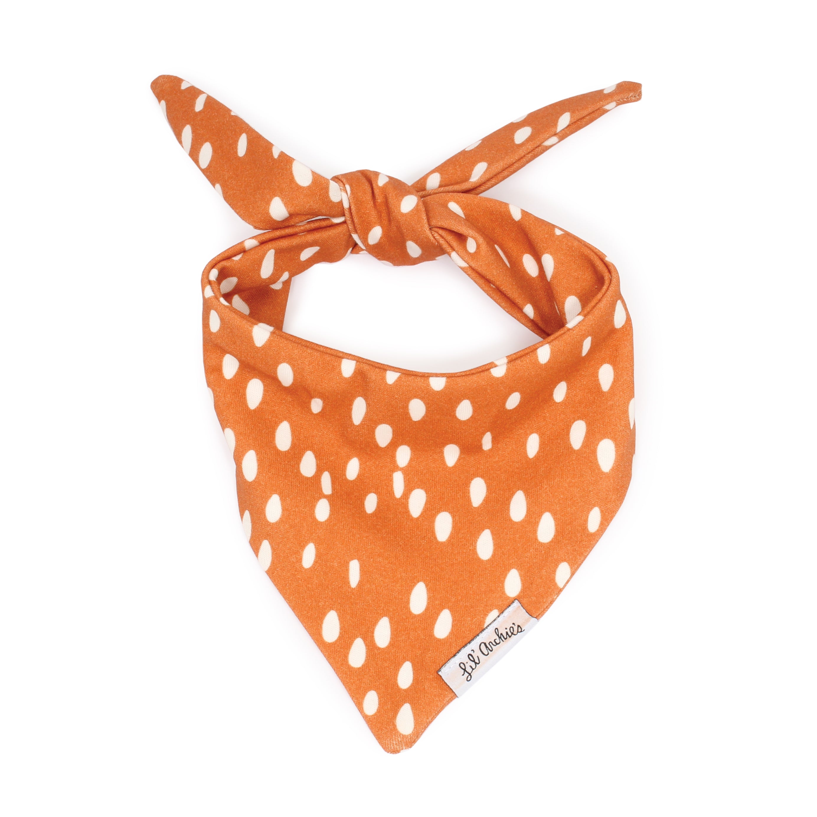 Pumpkin Seeds - Slimline Dog Bandana
