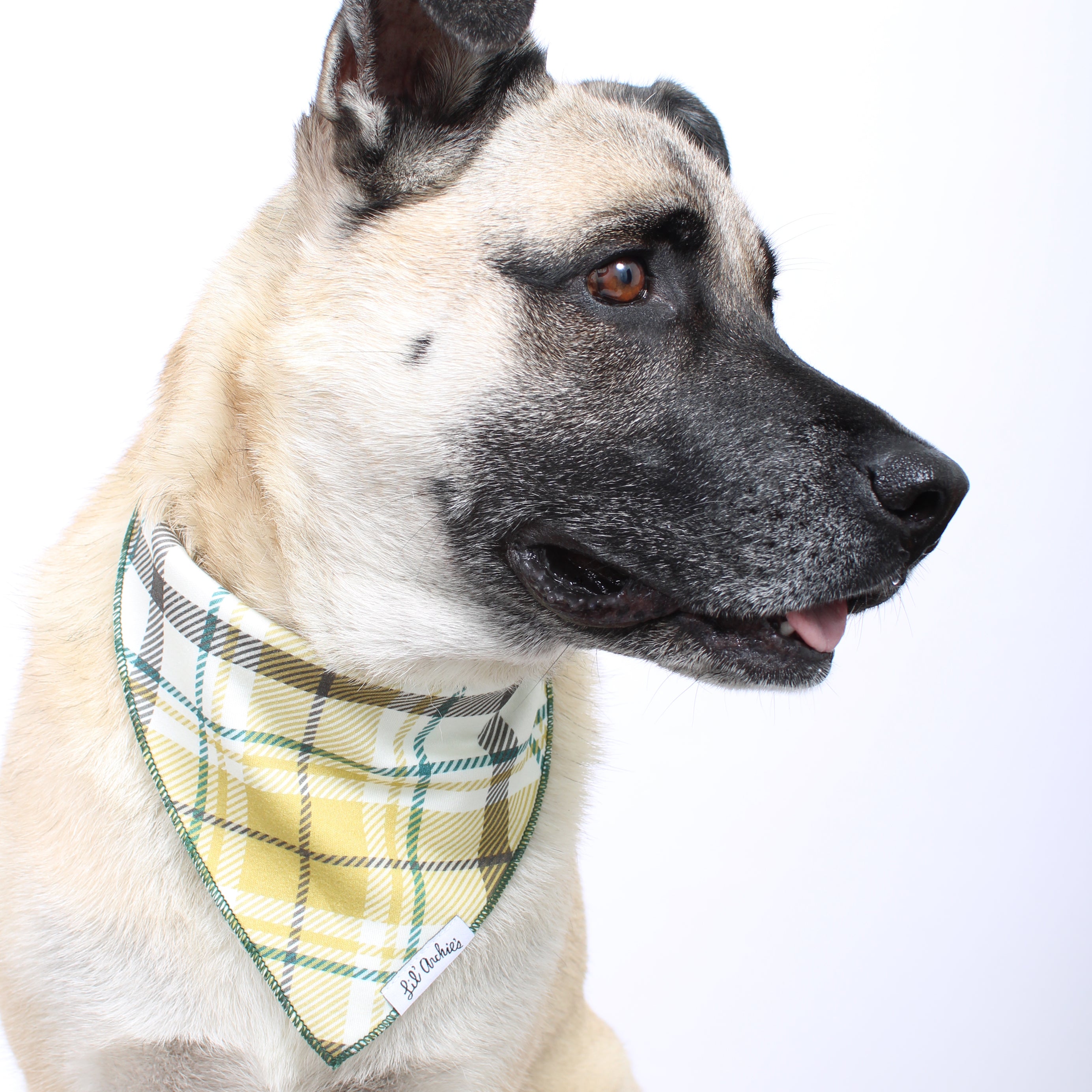 Green plaid shop dog bandana