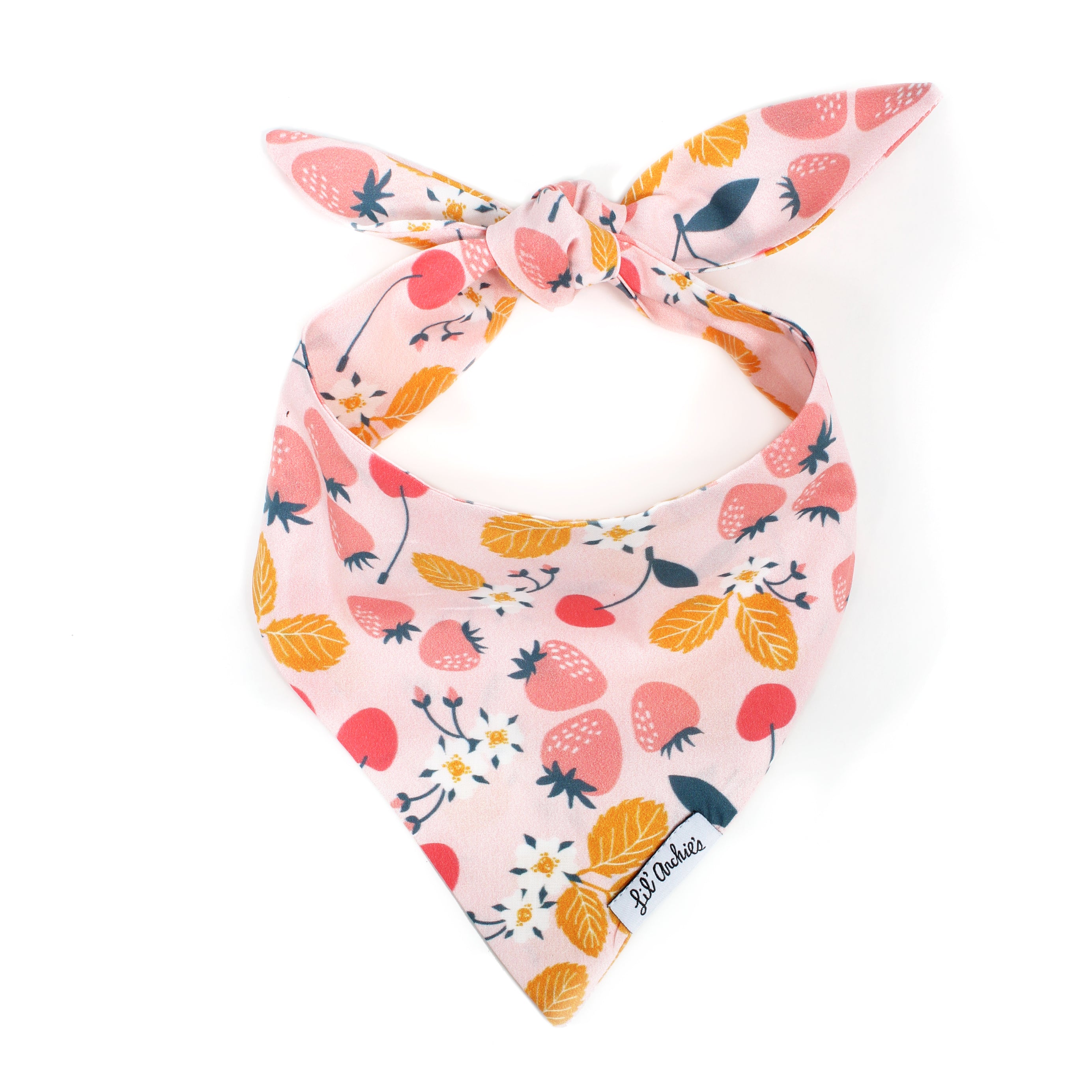 Fruit Dream - Slimline Dog Bandana