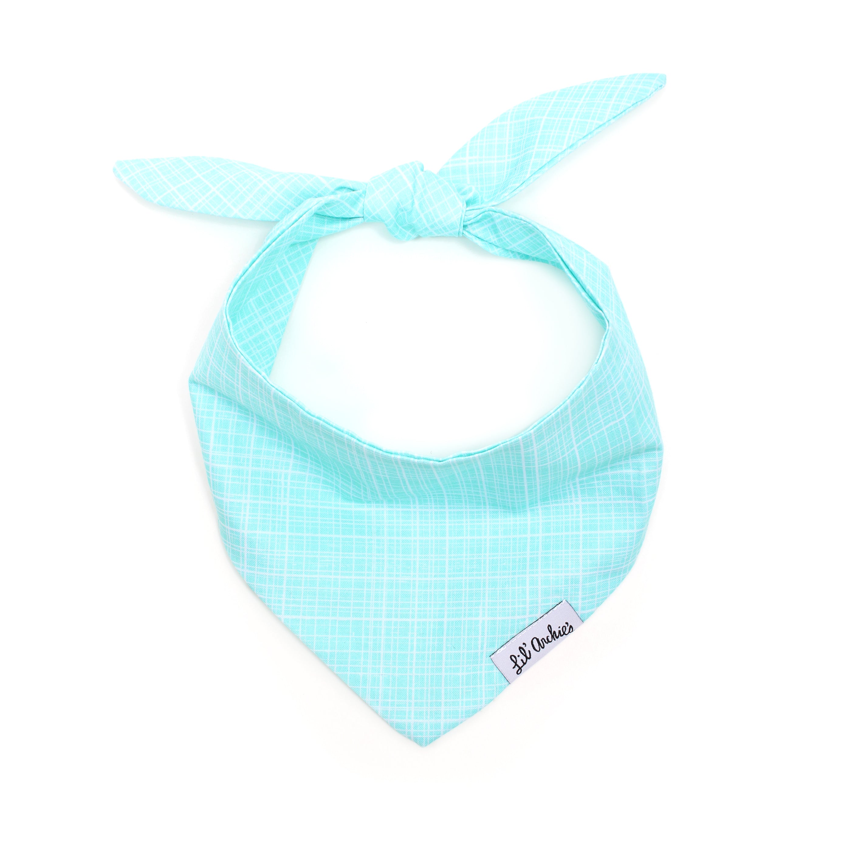 Pool Day - Slimline Dog Bandana